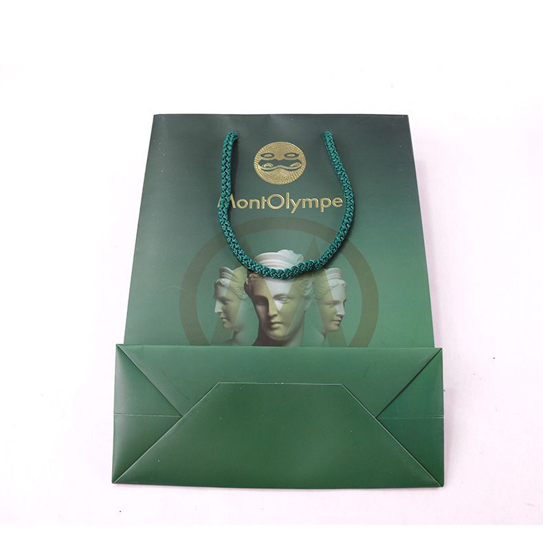 COLOR PAPER BAGS WITH PP HANDLE