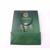 COLOR PAPER BAGS WITH PP HANDLE